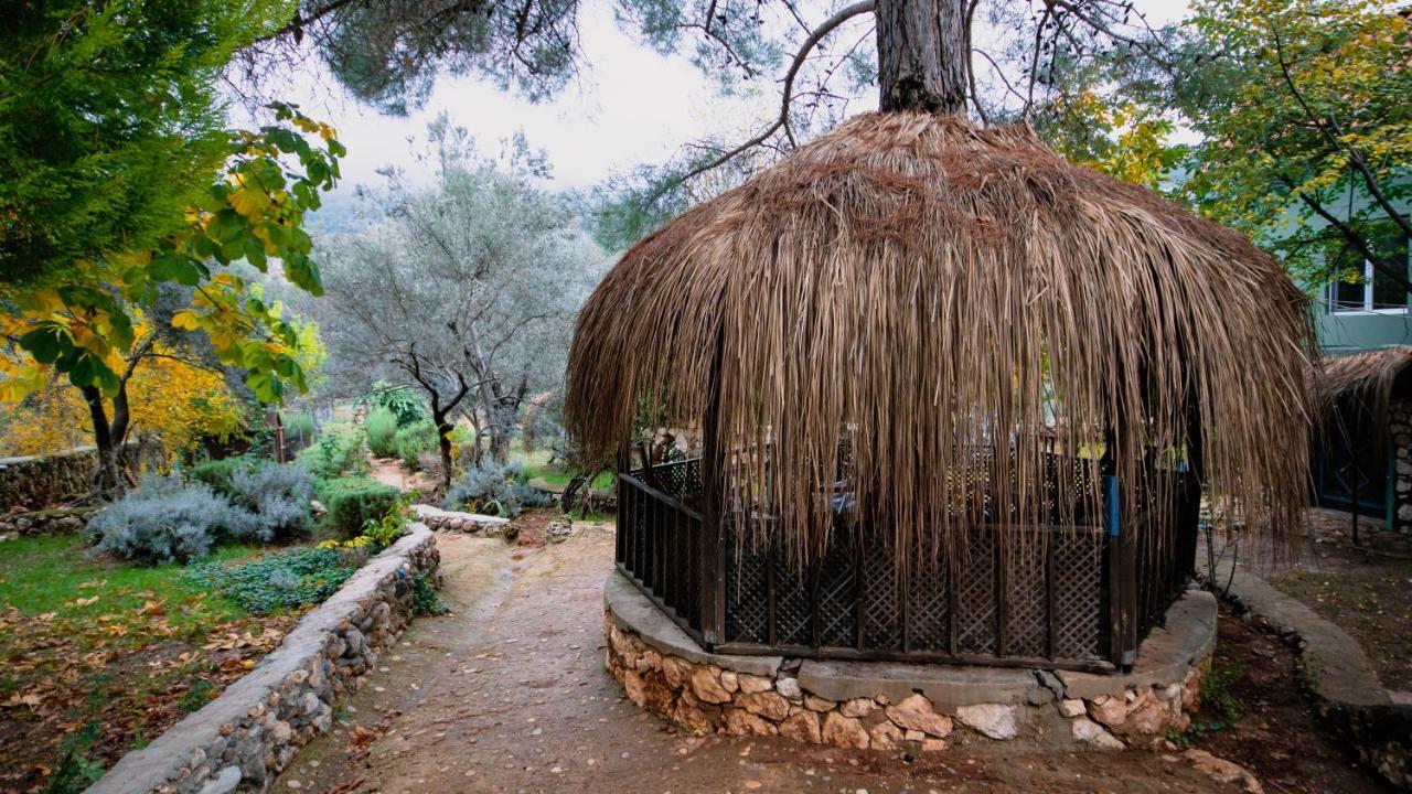 Vita Camping Otel Geyikbayiri Exterior photo